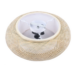 Bamboo Breeze Flush Mount Ceiling Light - Procure Décor