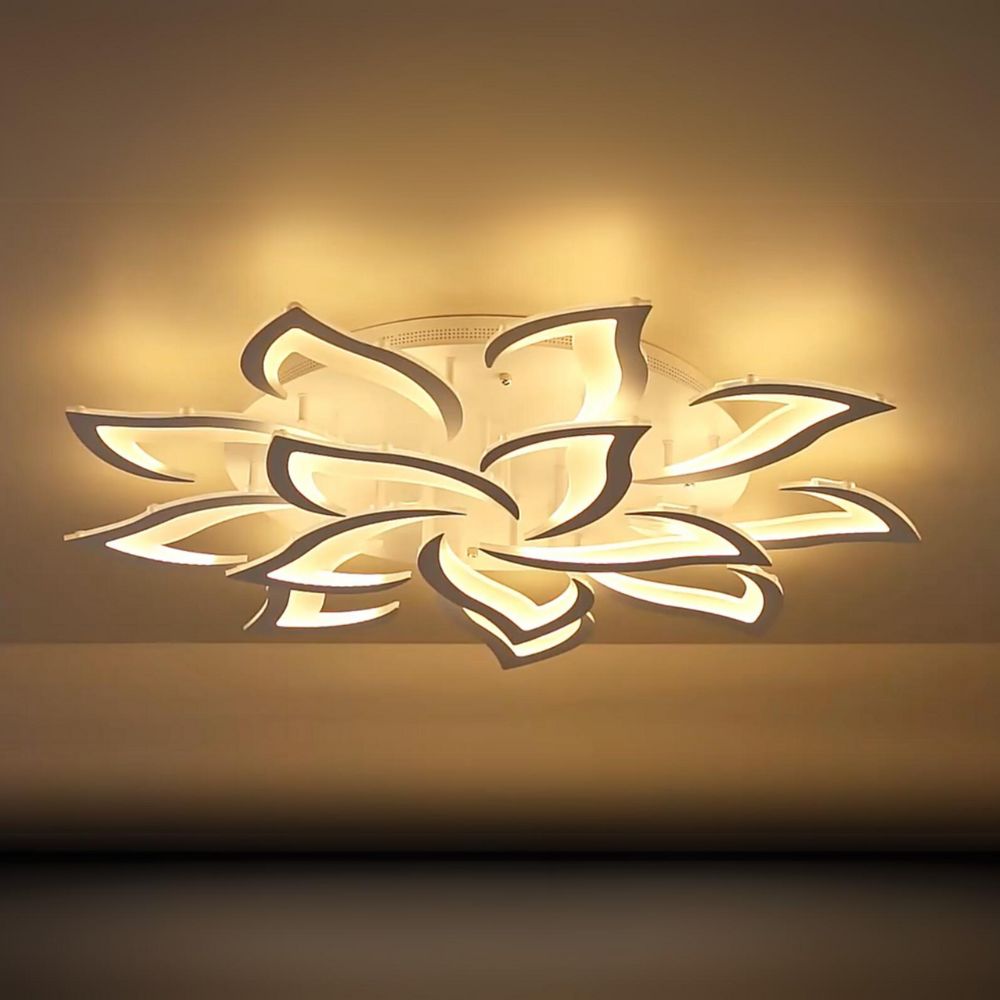 Bright Art Ceiling Light