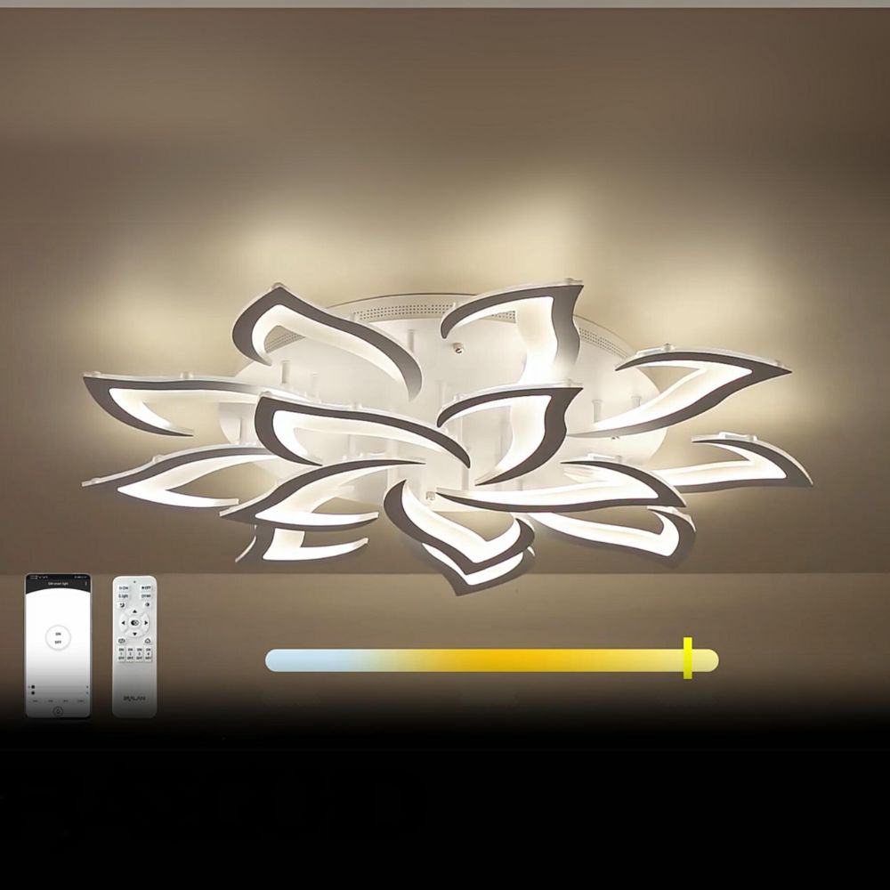 Bright Art Ceiling Light