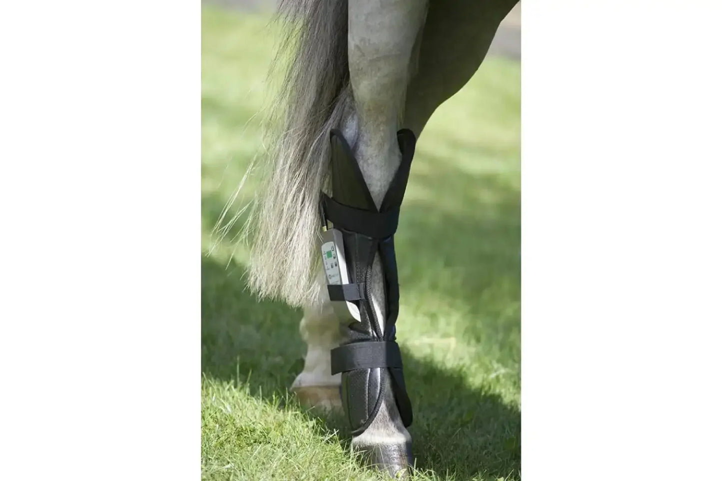 Oxford Medical Instruments OMI PEMF Full Equine Package: Blanket, Shoulder Band, Neck Wrap, Rear Leg Wrap, Front Leg Wrap - PEMF-HPK