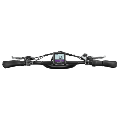 Himiway Escape Pro | Long Range Moped-Style Electric Bike - HIMEscapePro