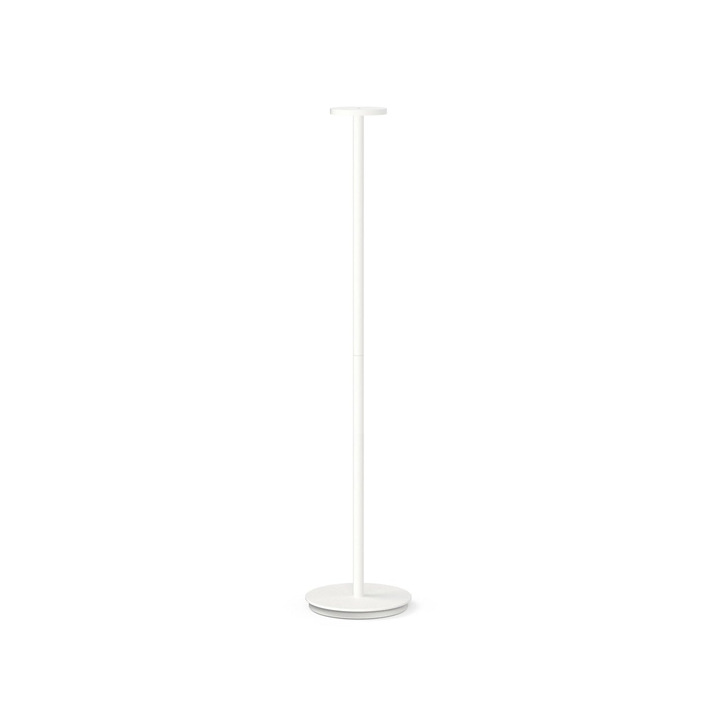 Pablo Designs Luci Floor Lamp - Procure Décor