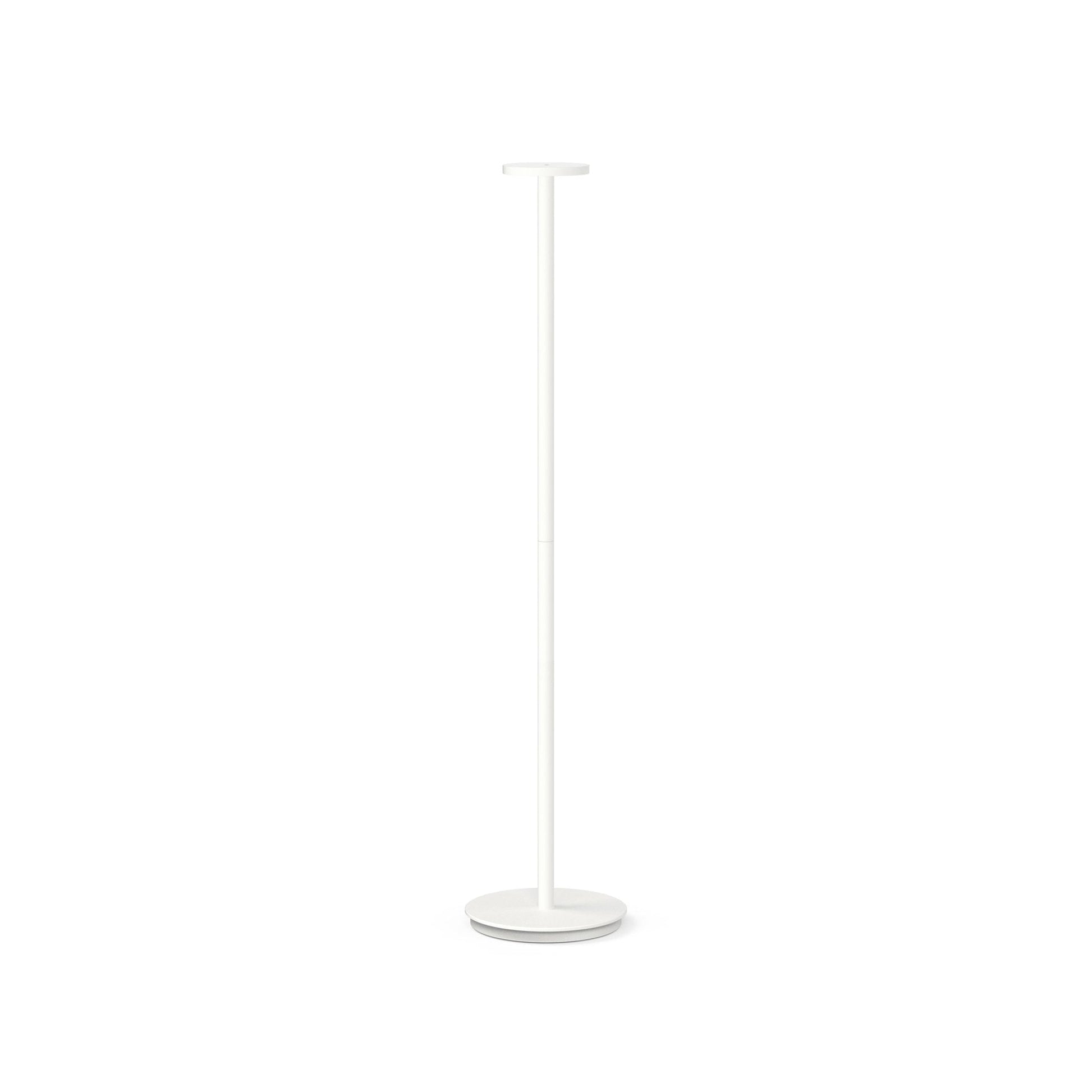 Pablo Designs Luci Floor Lamp - Procure Décor