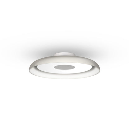 Pablo Designs Nivél Flush 15 Wall/Ceiling Lamp - Procure Décor