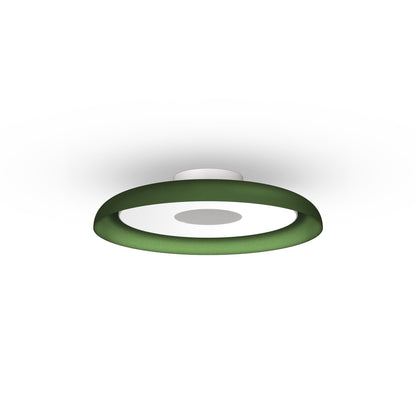 Pablo Designs Nivél Flush 15 Wall/Ceiling Lamp - Procure Décor
