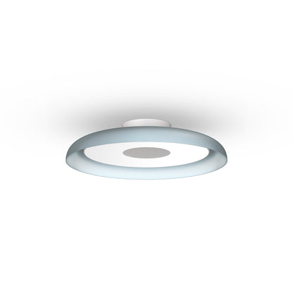 Pablo Designs Nivél Flush 15 Wall/Ceiling Lamp - Procure Décor