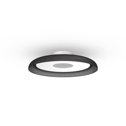 Pablo Designs Nivél Flush 15 Wall/Ceiling Lamp - Procure Décor
