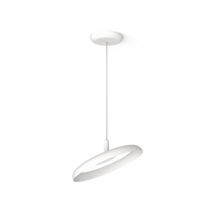 Pablo Designs Nivél Pendant 22 - Procure Décor